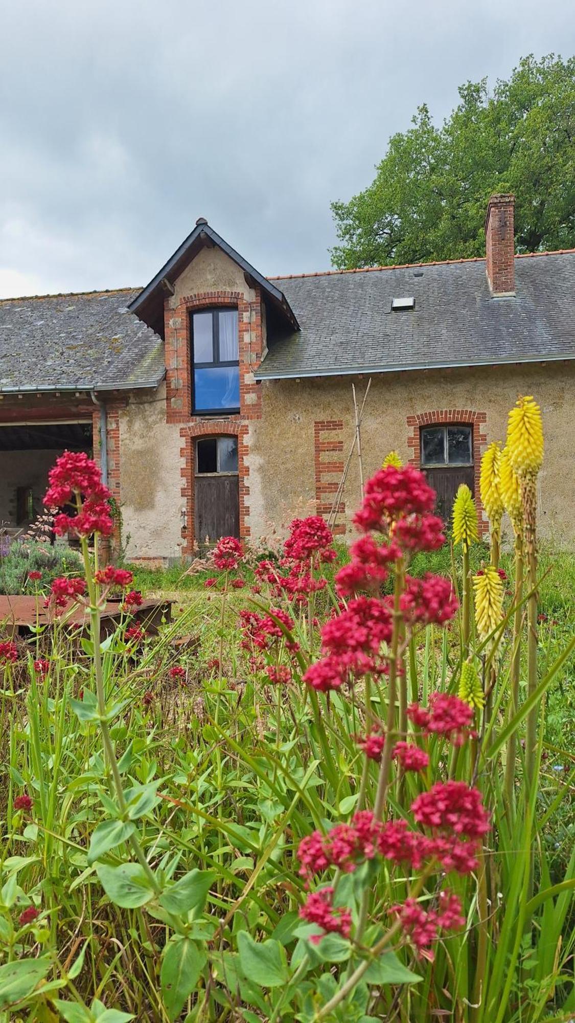 Ecolodges De Loire & Spa Gennes-Val-de-Loire Exteriér fotografie