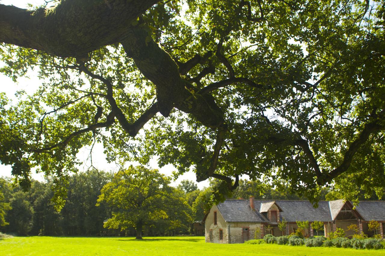 Ecolodges De Loire & Spa Gennes-Val-de-Loire Exteriér fotografie