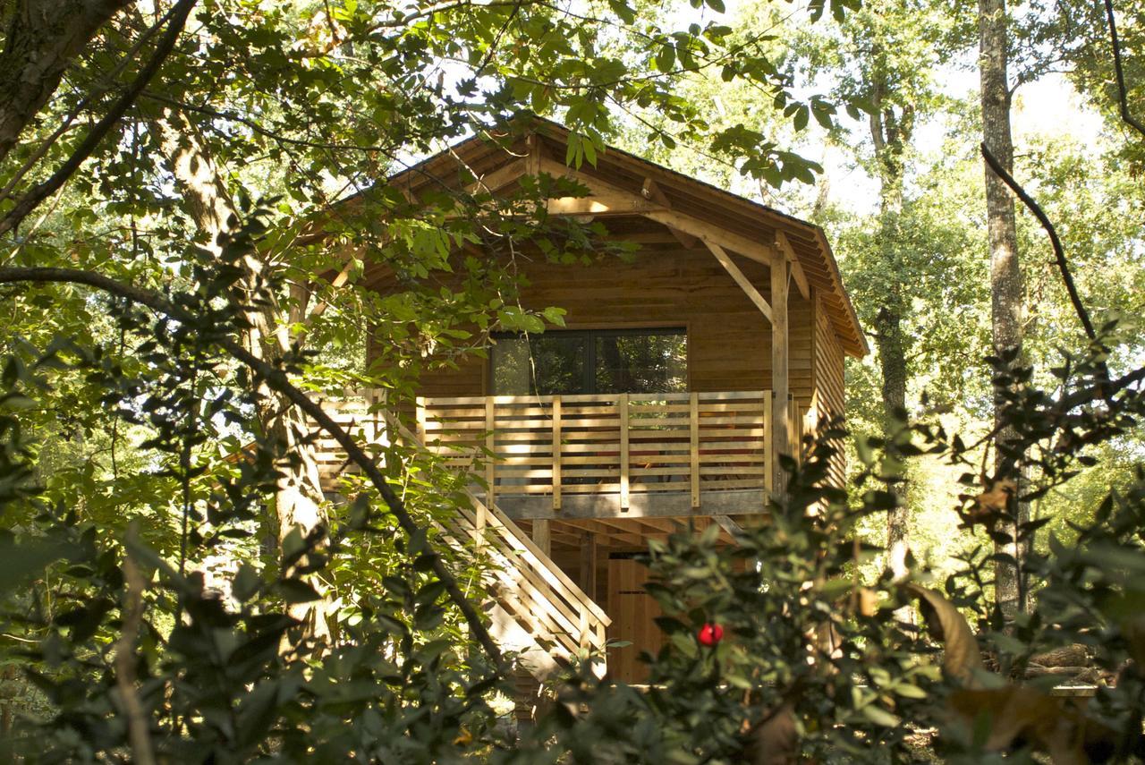 Ecolodges De Loire & Spa Gennes-Val-de-Loire Exteriér fotografie