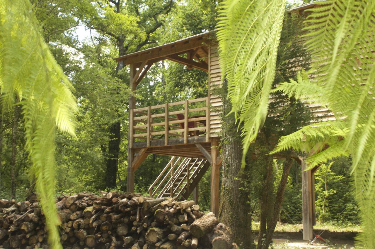 Ecolodges De Loire & Spa Gennes-Val-de-Loire Exteriér fotografie