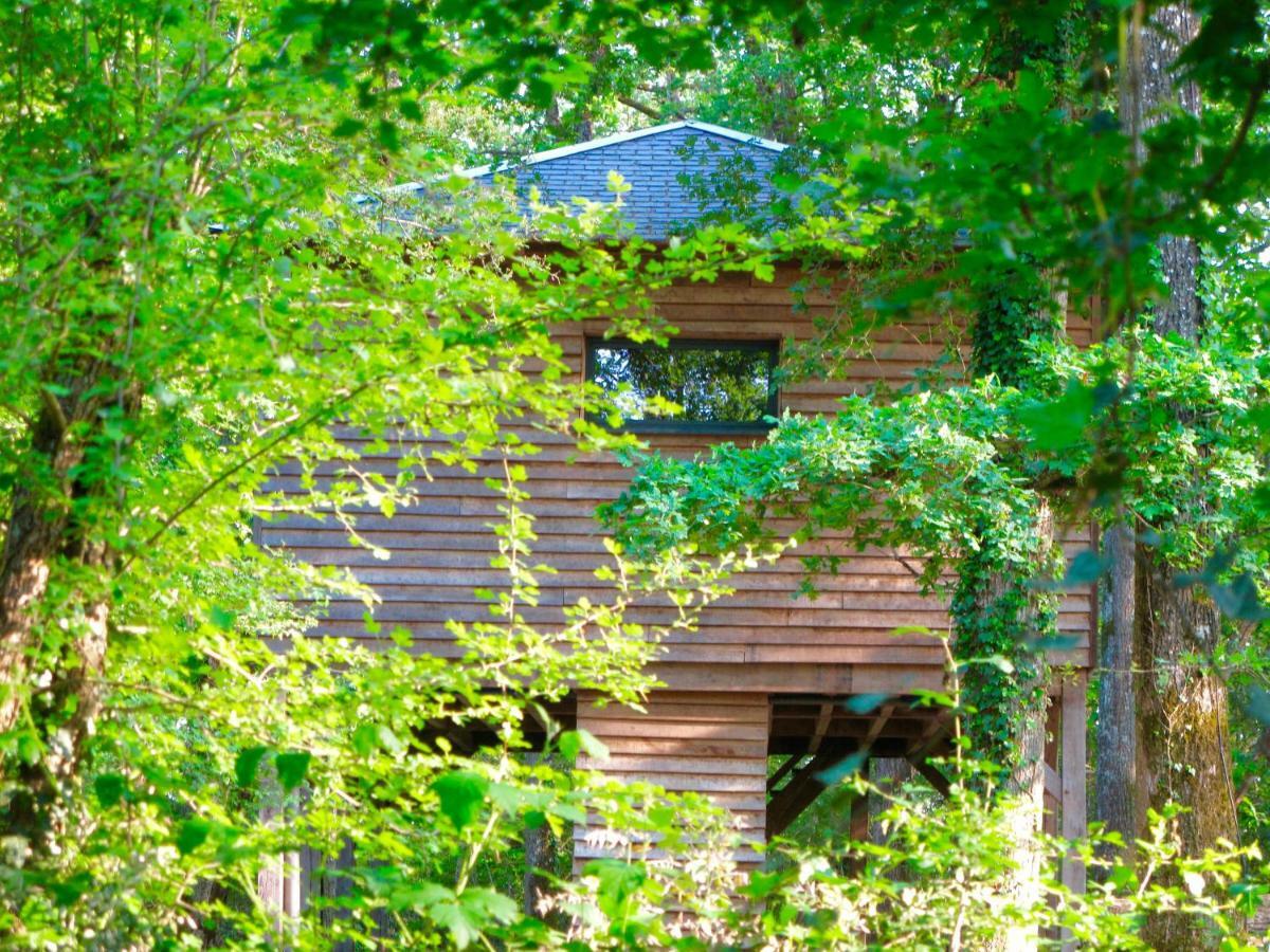 Ecolodges De Loire & Spa Gennes-Val-de-Loire Exteriér fotografie